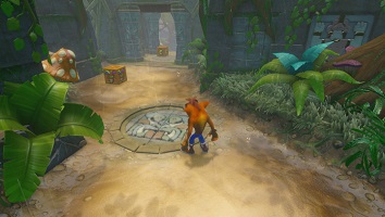 Imagem Turtle Woods